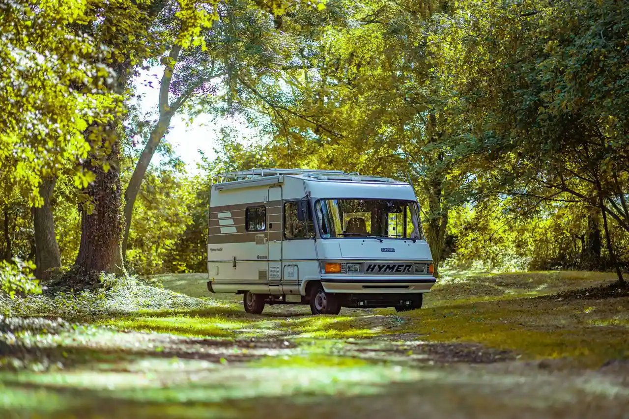 Camping-car blanc stationné dans une forêt verdoyante traversée par la lumière du soleil, en été