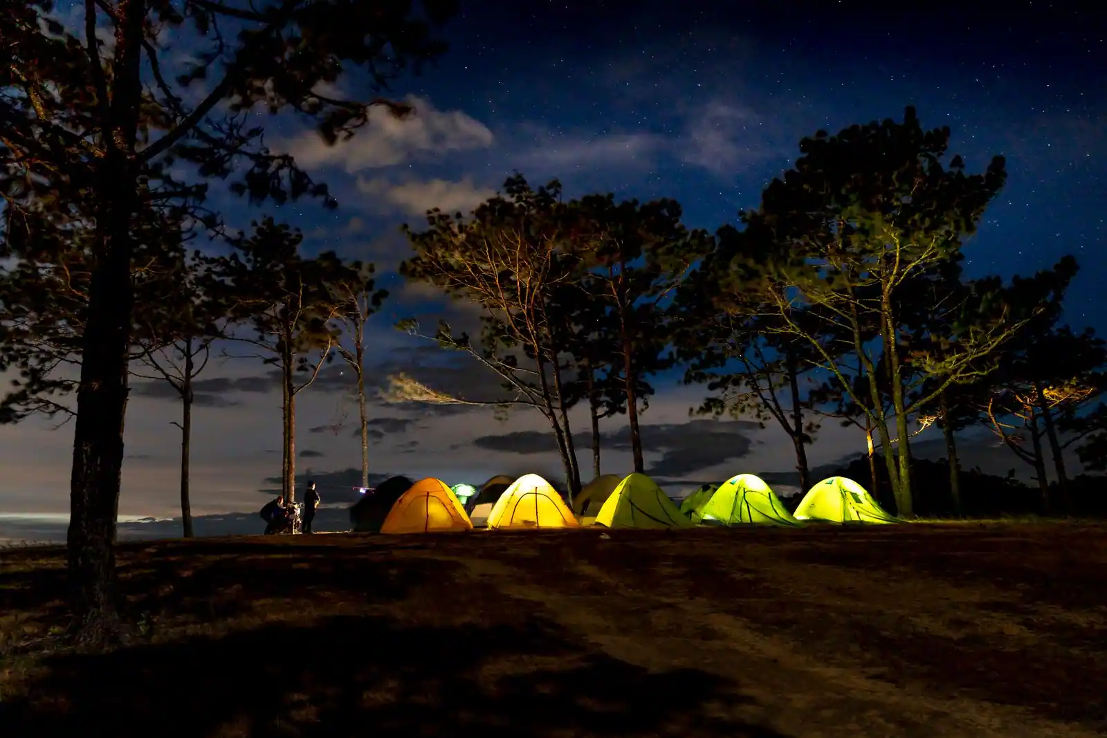 Tentes de camping illuminées au crépuscule sous les pins