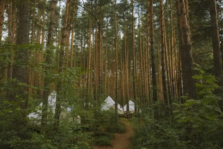 Camping à Biscarrosse : lac ou océan, comment choisir