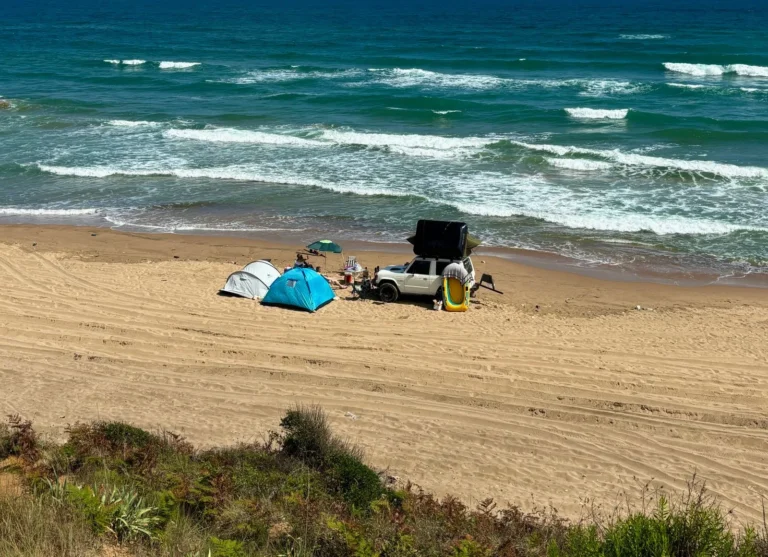 Camping au Grau-du-Roi : choisir son secteur entre mer et Camargue