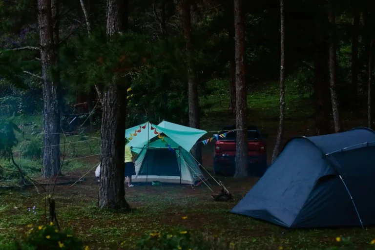 Camping à Noirmoutier : choisir son secteur et sa saison