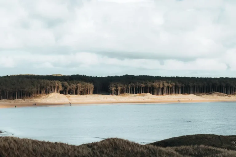 Camping dans les Landes : océan ou lac, comment bien choisir