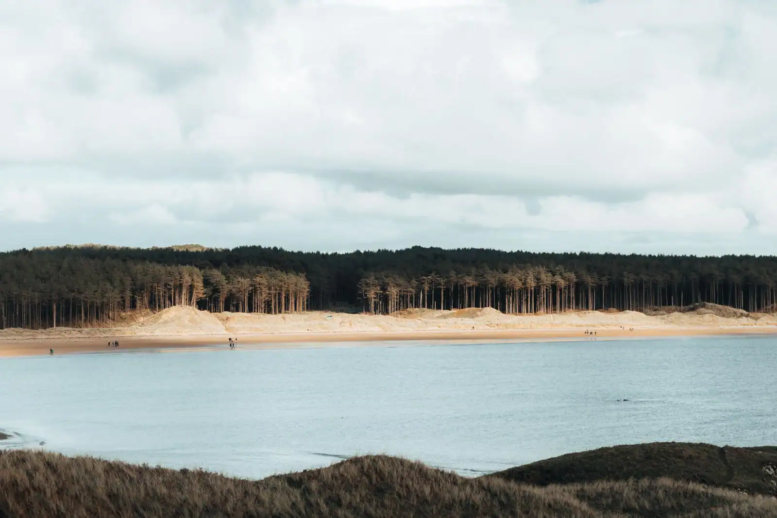 Bande de sable et dunes adossées à une forêt de pins au bord de l'eau, paysage des Landes