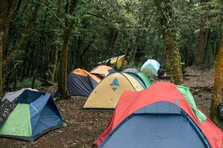 Camping naturiste : comprendre et réussir son séjour
