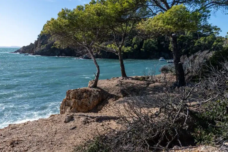Camping Paradis : où c&rsquo;est tourné et comment retrouver l&rsquo;ambiance