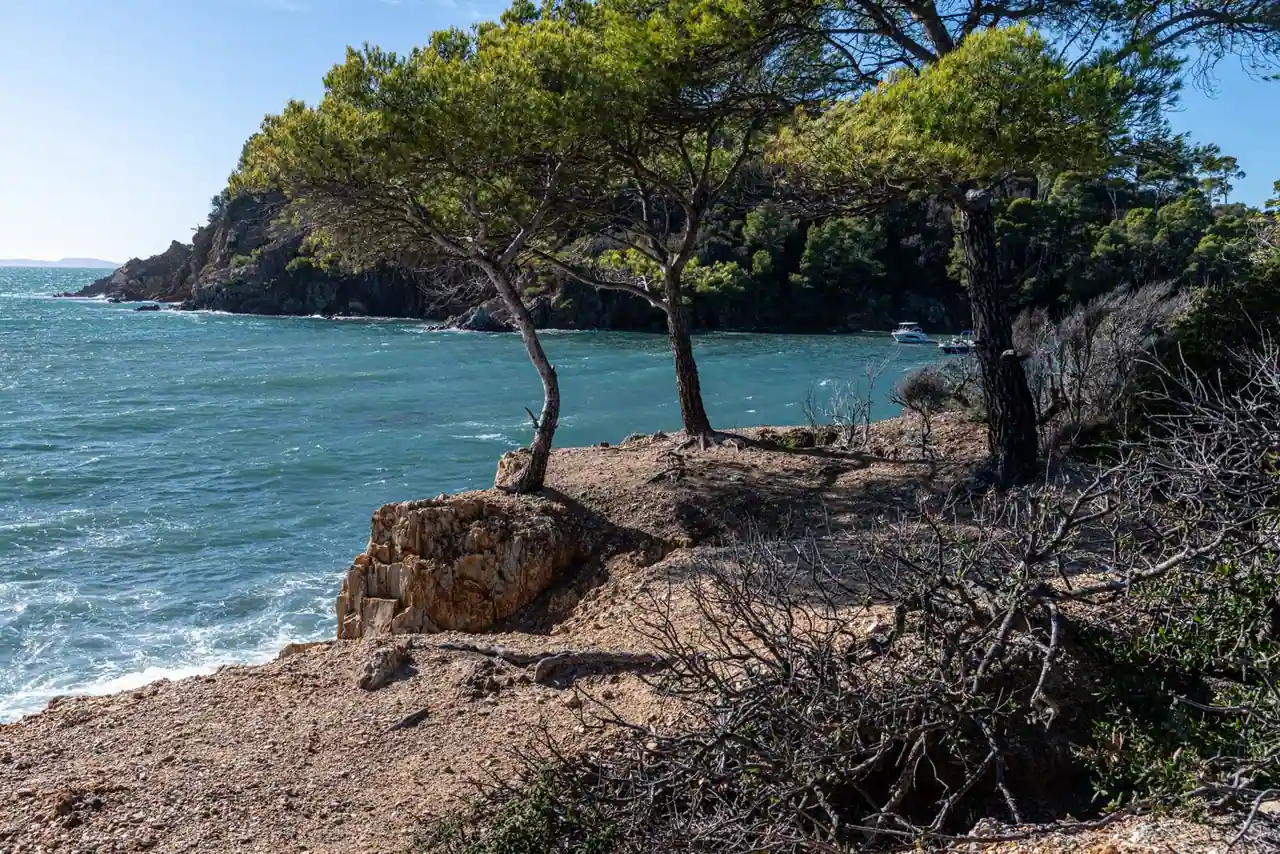 Côte méditerranéenne rocheuse bordée de pins, surplombant une eau bleu turquoise.