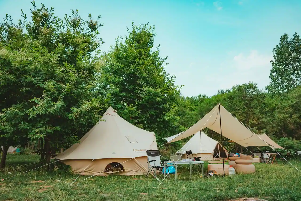 Tentes toilées beiges installées sur l'herbe et entourées d'arbres verts, avec mobilier de camping