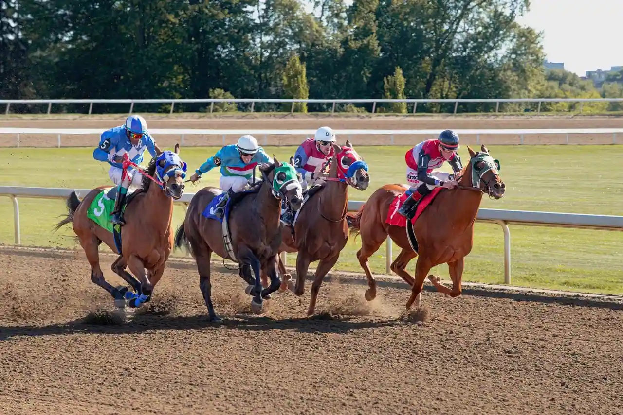 Chevaux de course lancés au galop avec leurs jockeys sur la piste d'un hippodrome.