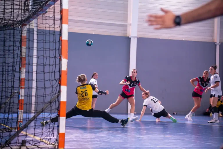 France handball : le palmarès des Bleus et des Bleues