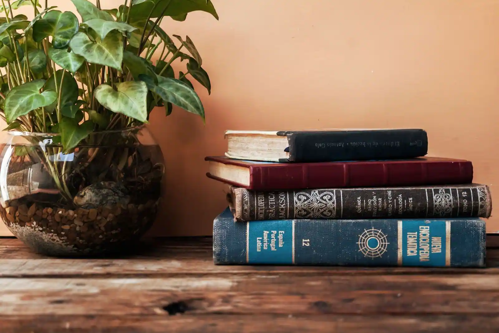 Pile de livres reliés anciens posés sur une table en bois, à côté d'une plante verte