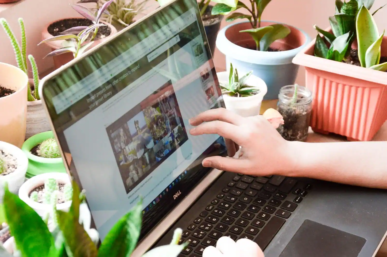 Ordinateur portable utilisé sur une table entourée de plantes d'intérieur