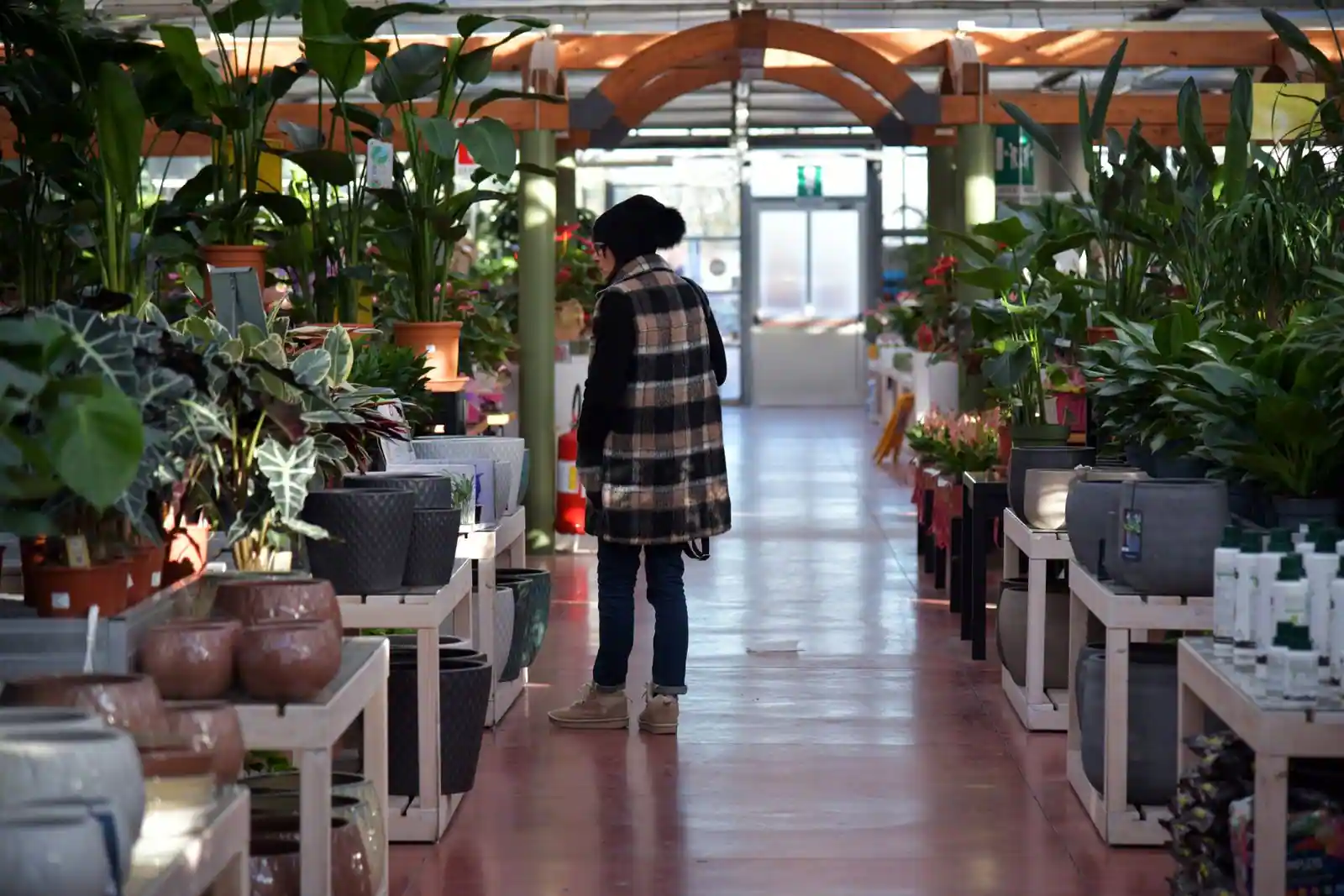 Allée d une jardinerie remplie de plantes et de végétaux à vendre, ambiance de magasin