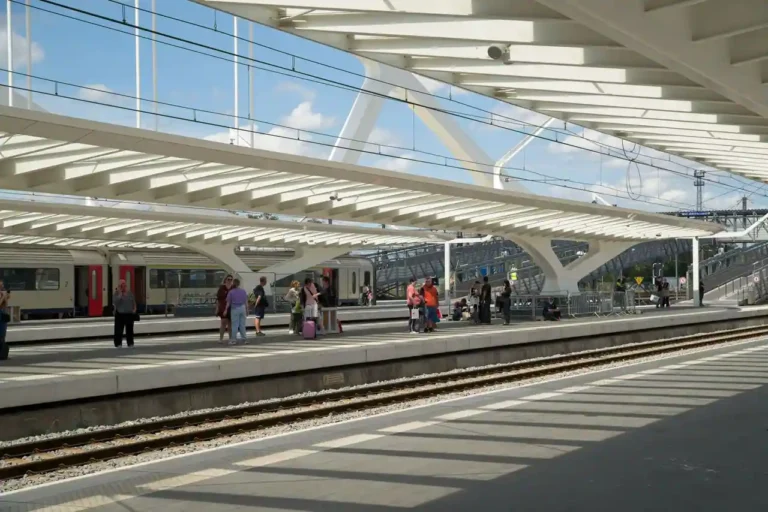 Train ZOU ! : comprendre et utiliser le réseau du Sud