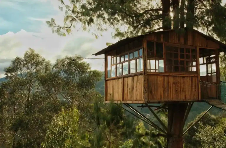 Cabane dans les arbres : ce qu&rsquo;il faut savoir avant de réserver