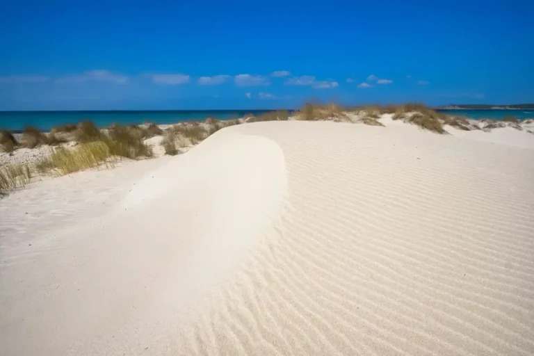 Camping de l&rsquo;Espiguette : la pointe sauvage du Grau-du-Roi