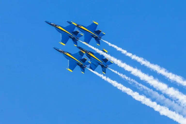 Avion de chasse américain : F-16, F-22, F-35, qui fait quoi