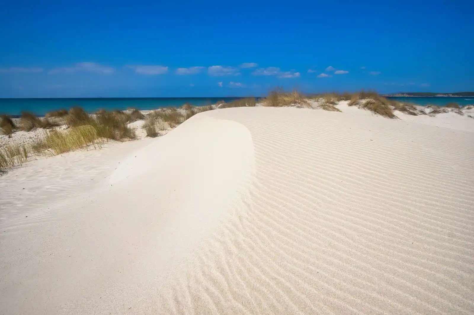 Une dune de sable blanc couverte d'oyats clairsemés au bord de la Méditerranée, image illustrative