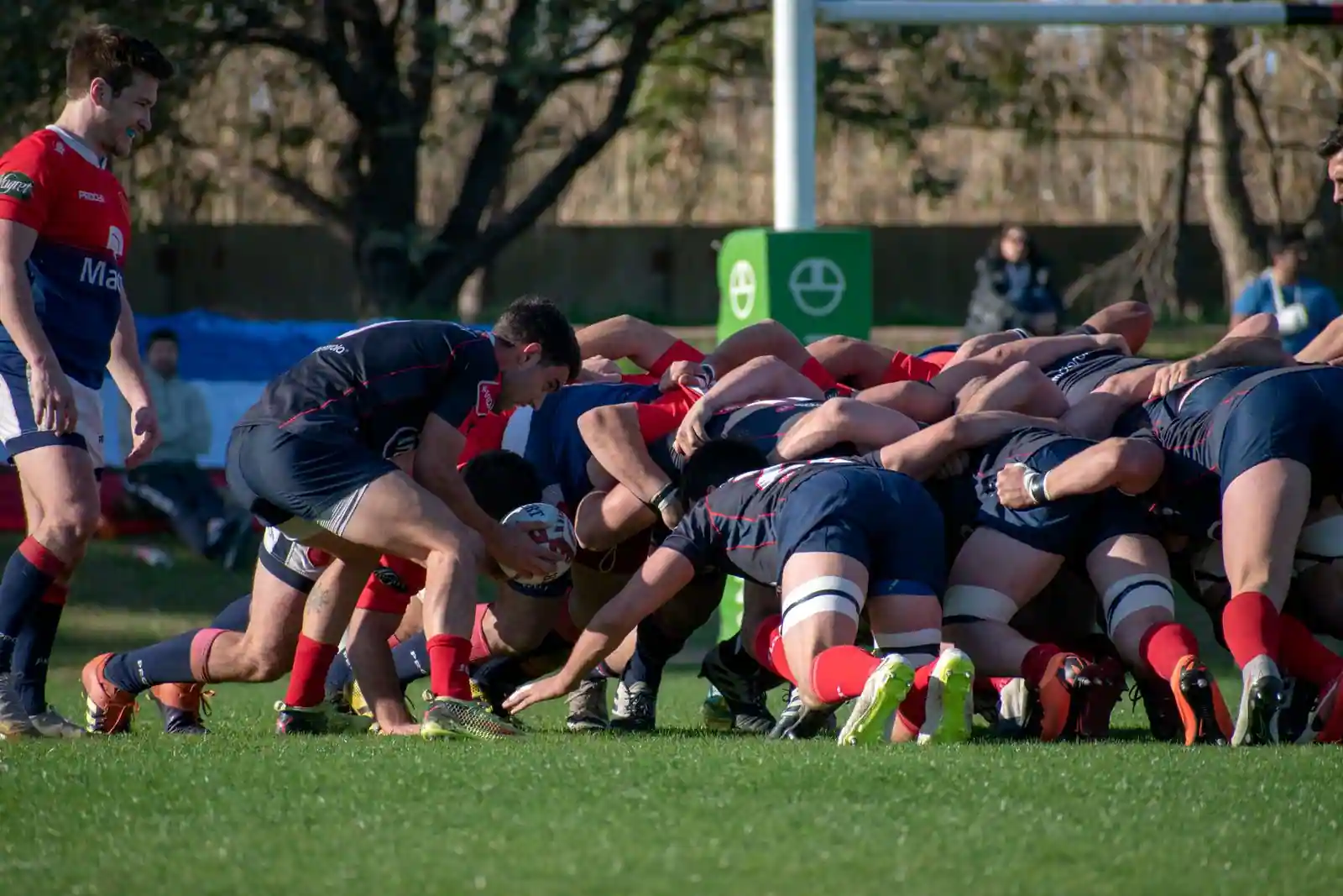 Mêlée de rugby sur la pelouse d'un terrain, un joueur s'apprêtant à introduire le ballon