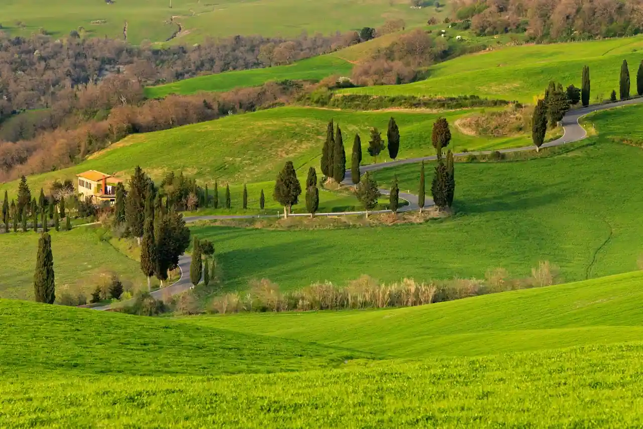 Route sinueuse bordée de cyprès traversant les collines de Toscane, dans la campagne italienne