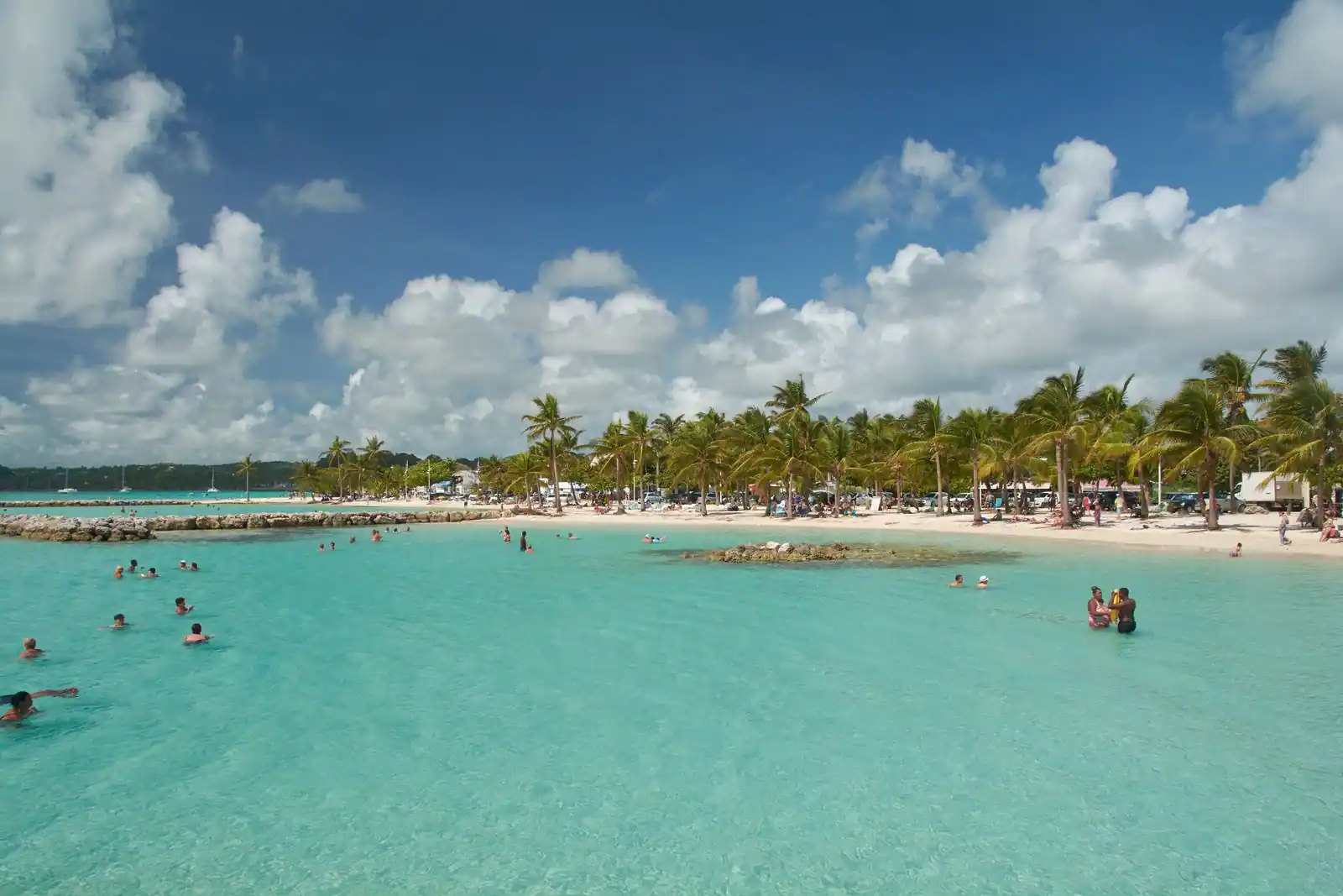 Plage de Guadeloupe bordée de cocotiers, avec un lagon turquoise peu profond où se baignent des vacanciers.
