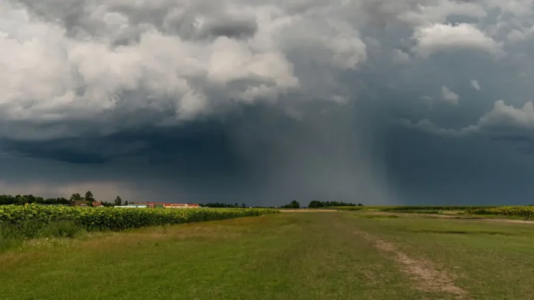 Météo en France : lire les prévisions et la vigilance avant de partir