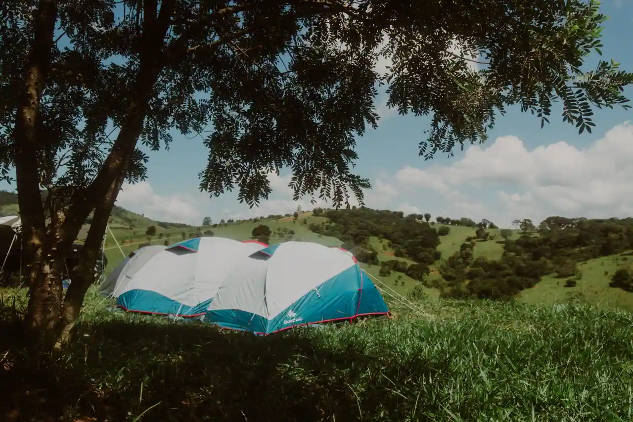 Deux tentes familiales dressées sur l'herbe à l'ombre d'un arbre, devant des collines verdoyantes