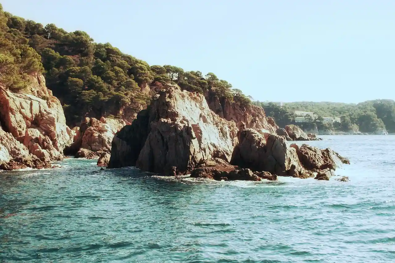 Falaises rocheuses couvertes de pins plongeant dans une eau turquoise, sur la côte de la Costa Brava