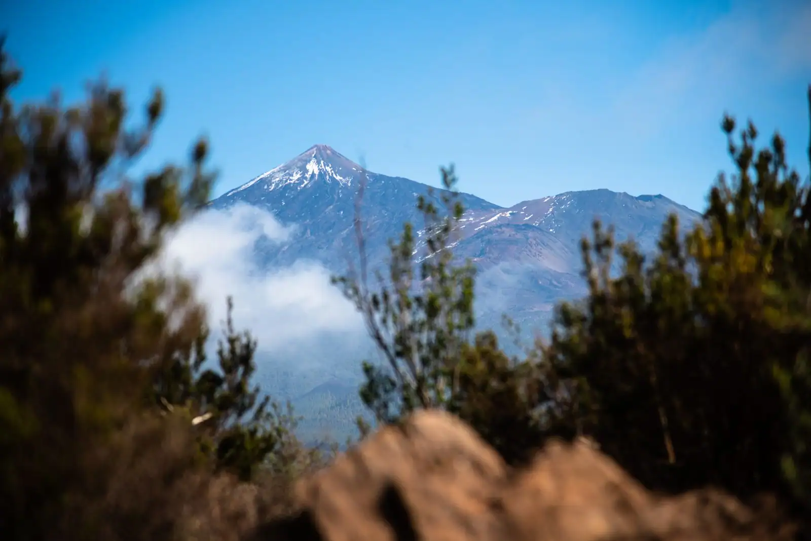 Le cône enneigé du Teide vu depuis des pentes boisées de Tenerife, un banc de nuages accroché au versant